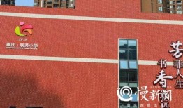 重庆沙坪坝小学爆料新闻,校园事件引发社会关注
