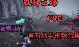 征神之路最新爆料图片,神秘爆料揭示全新篇章